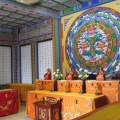 IMG_5717.JPG